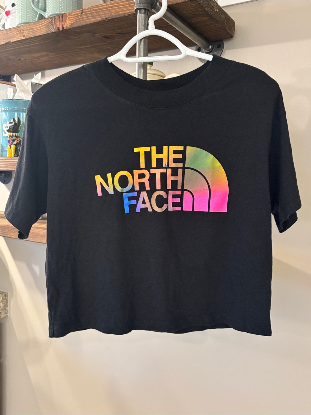 The North Face Rainbow Gradient Logo Cropped Tee | Size XS